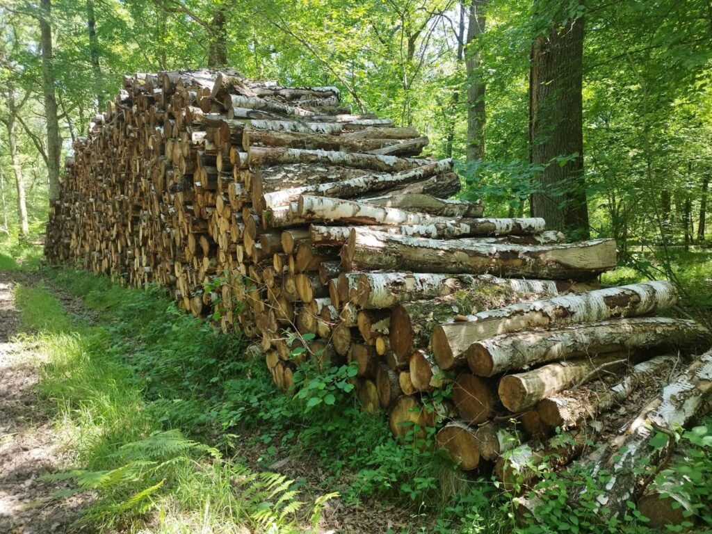 Bois en grume